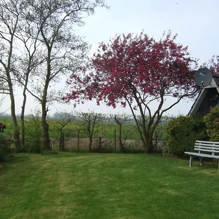 Nurdachhaus Klabautermann Mit Terrasse Und Garten By Interhome