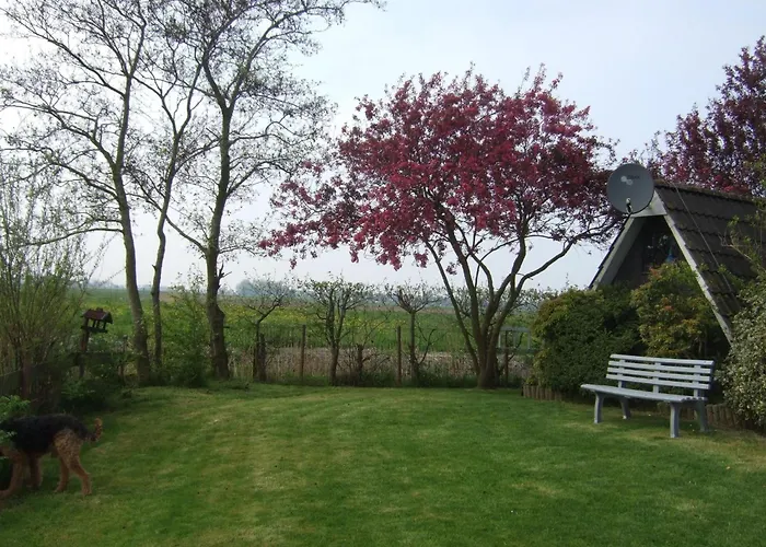 Nurdachhaus Klabautermann Mit Terrasse Und Garten By Interhome